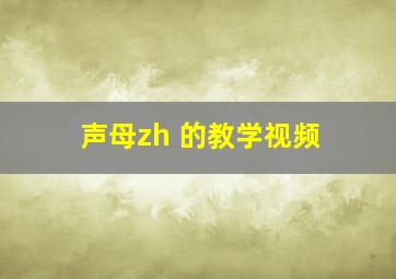 声母zh 的教学视频